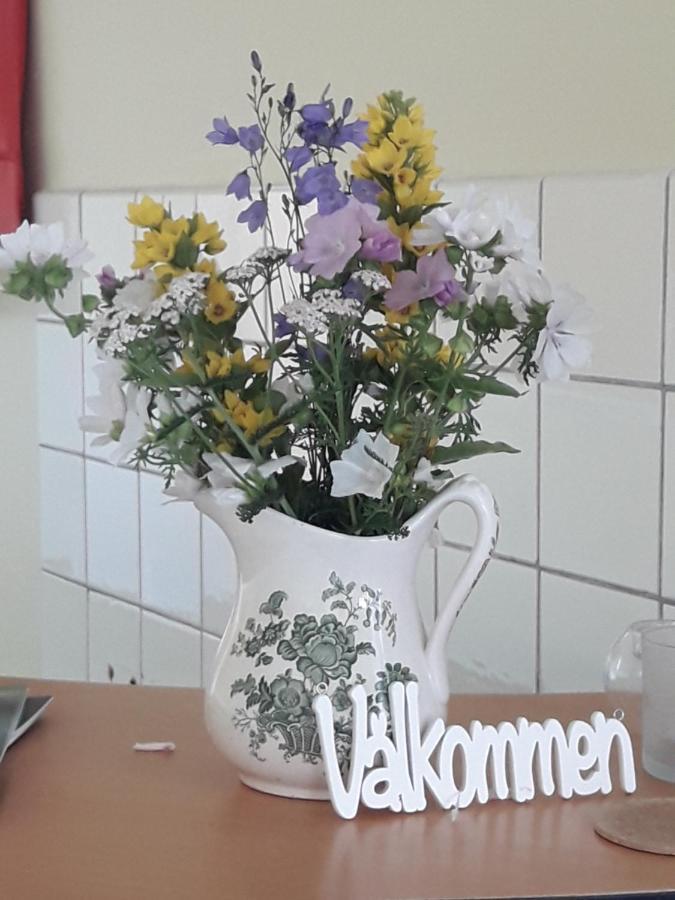 Koersbaerskullen Hostel วิมเมอร์บี ภายนอก รูปภาพ